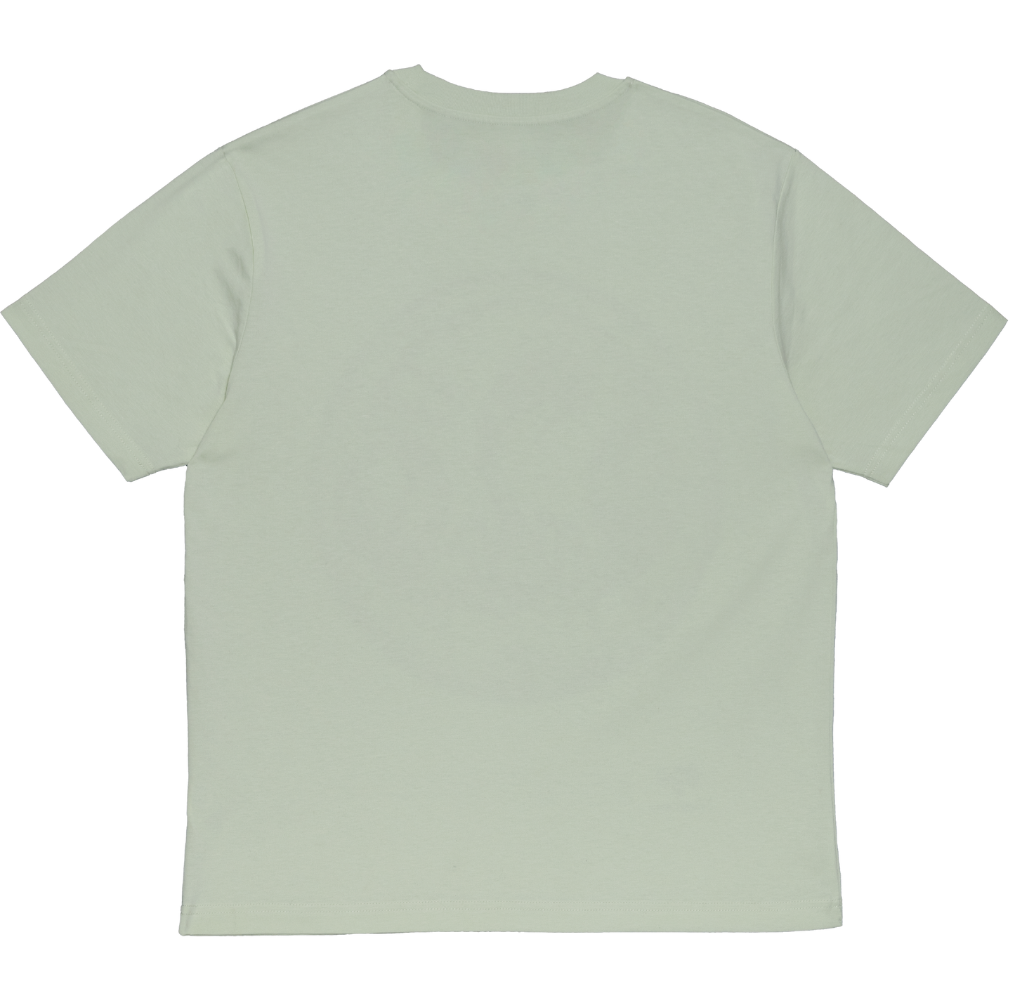 LIGHT GREEN T-SHIRT WITH GRAPHICS: A SCORPION EXPLORER DESIGN IN PREMIUM ORGANIC COTTON
